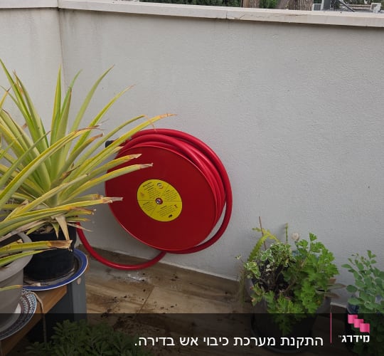 גלגלת כיבוי אש על קיר עם צמחים מסביב
